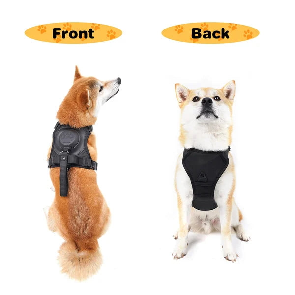 All-in-One Dog Harness