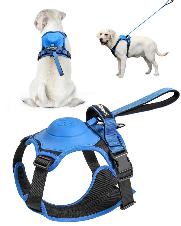 All-in-One Dog Harness
