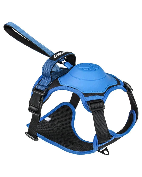 All-in-One Dog Harness