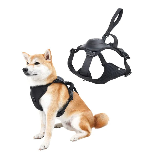 All-in-One Dog Harness