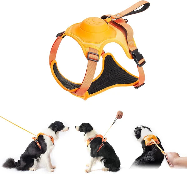 All-in-One Dog Harness