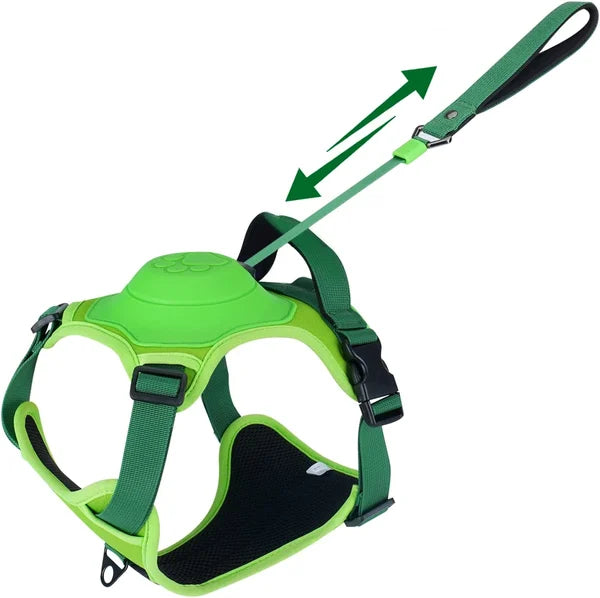 All-in-One Dog Harness