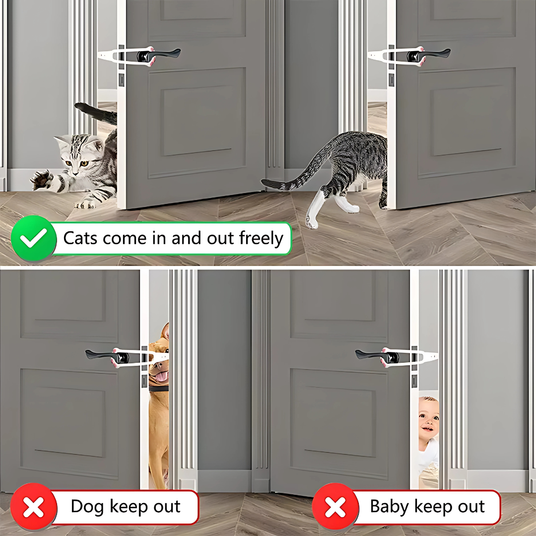Paw Latch