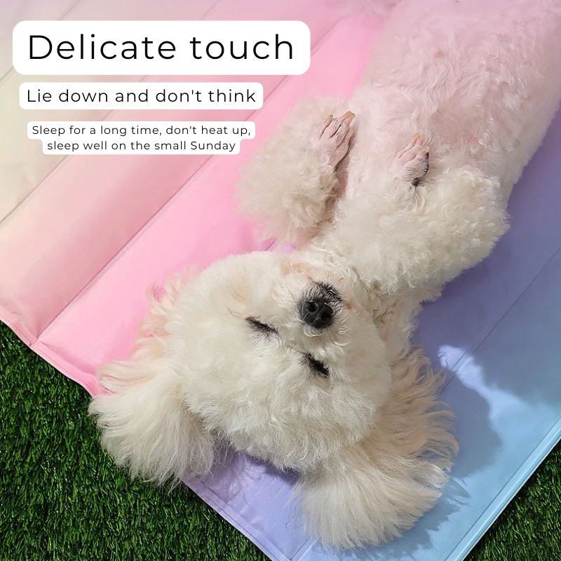 Summer Rainbow Cooling Bed with Ice Crystal Gel