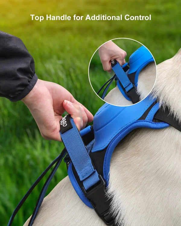 All-in-One Dog Harness