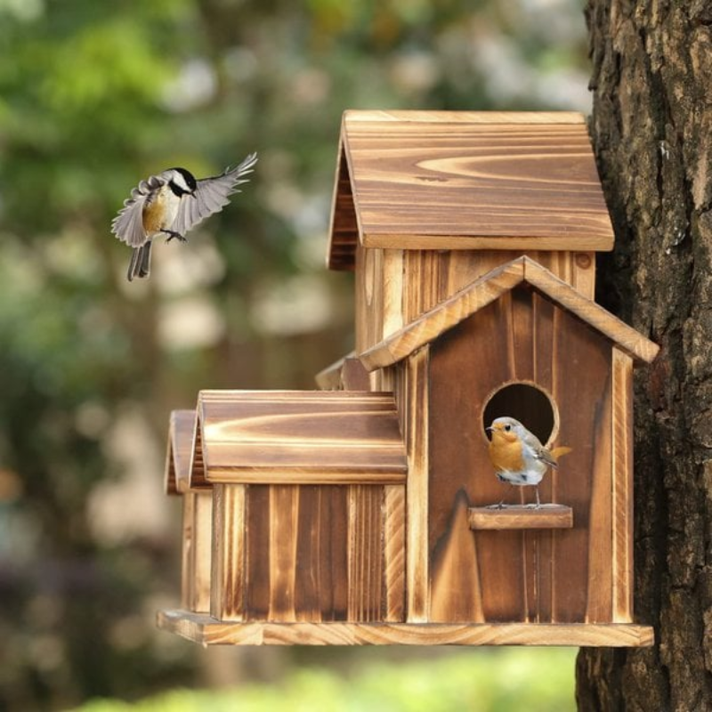 6 Holes Bird House Room