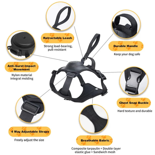 All-in-One Dog Harness
