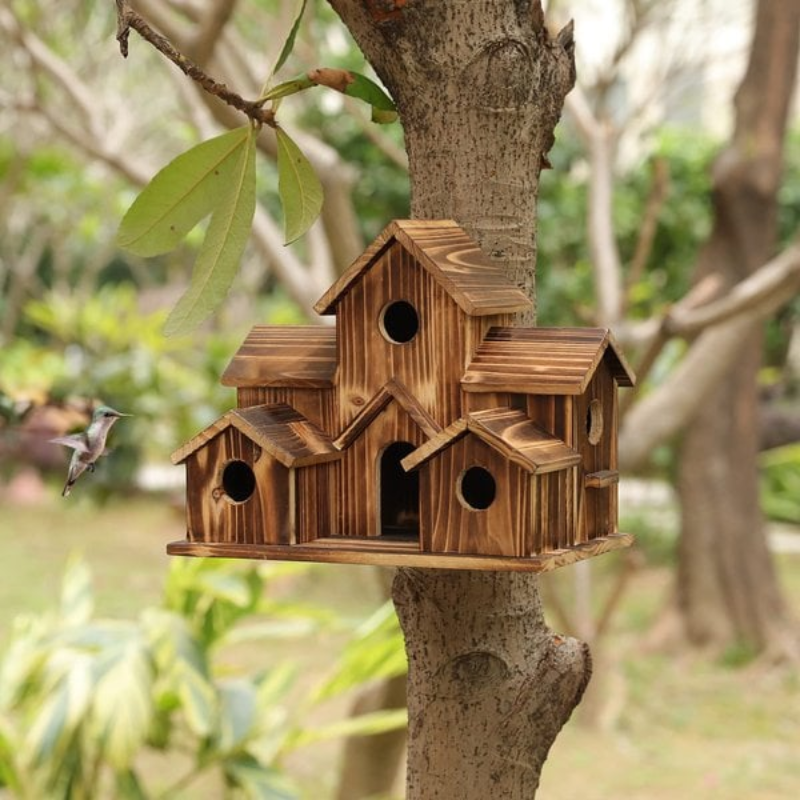 6 Holes Bird House Room