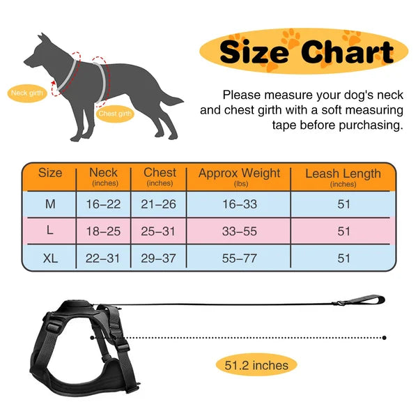 All-in-One Dog Harness