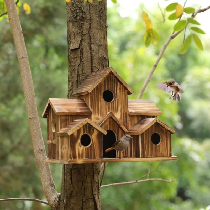 6 Holes Bird House Room