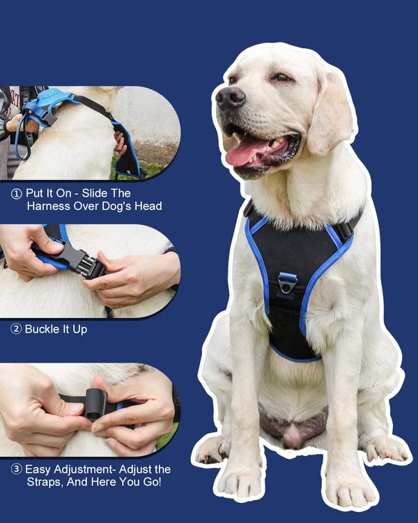 All-in-One Dog Harness