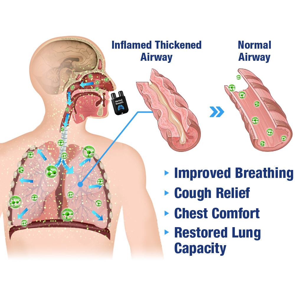 Herbal Breathe Respiratory Cleansing Aerosolizer