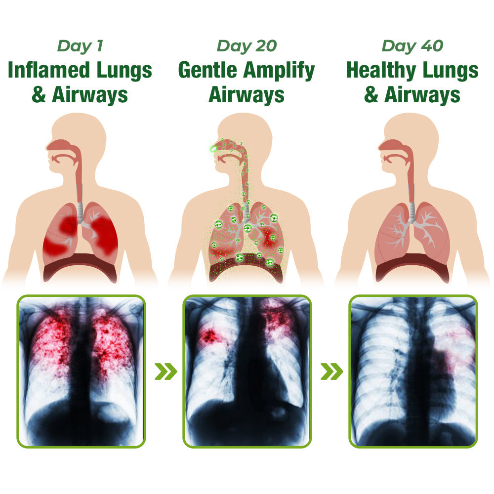 Respiratory Cleansing Herbal Nasal Device