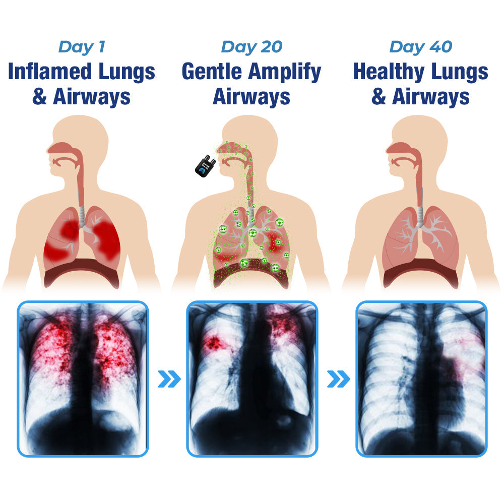 Herbal Breathe Respiratory Cleansing Aerosolizer