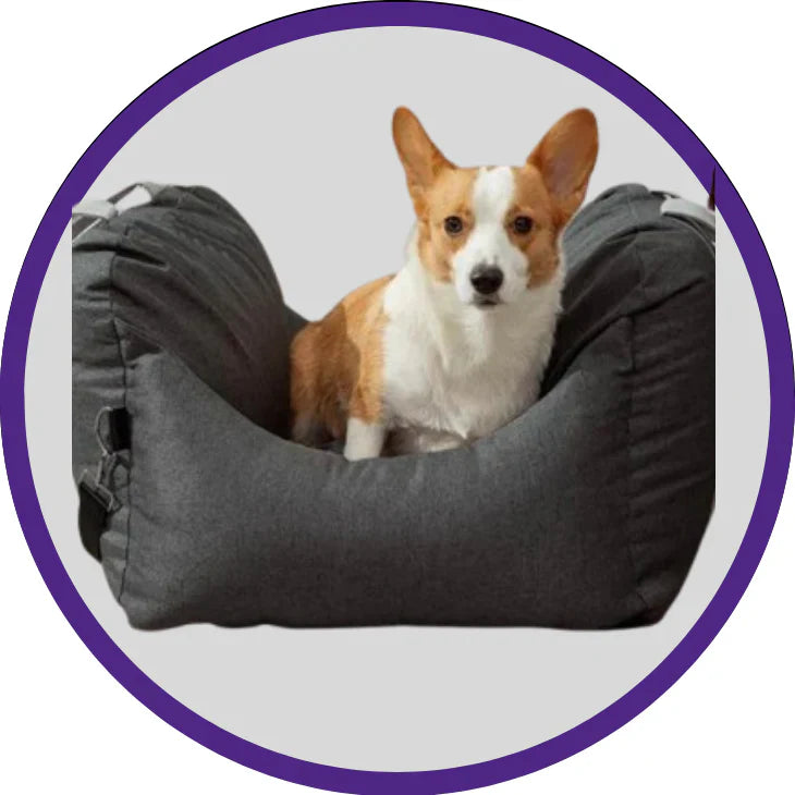 Pet Supplies