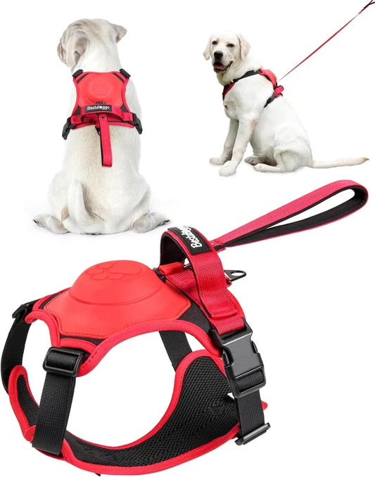 All-in-One Dog Harness