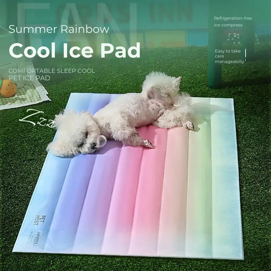 Summer Rainbow Cooling Bed with Ice Crystal Gel