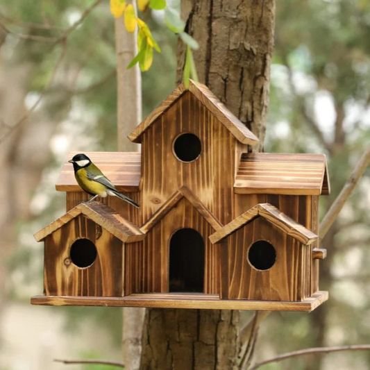 6 Holes Bird House Room