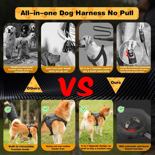 All-in-One Dog Harness