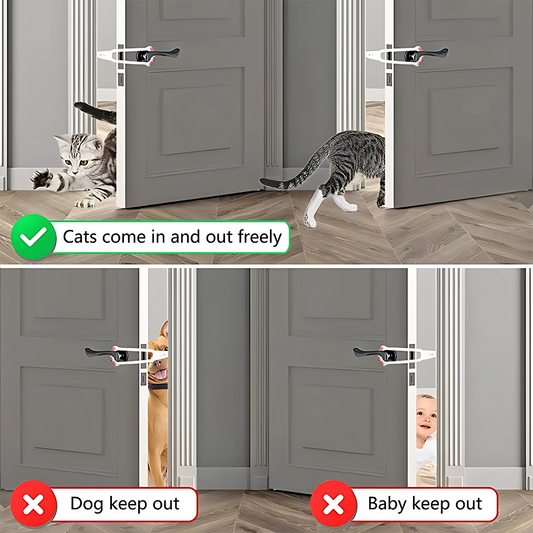 Paw Latch