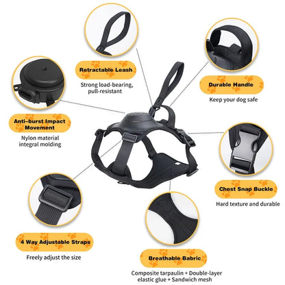 All-in-One Dog Harness