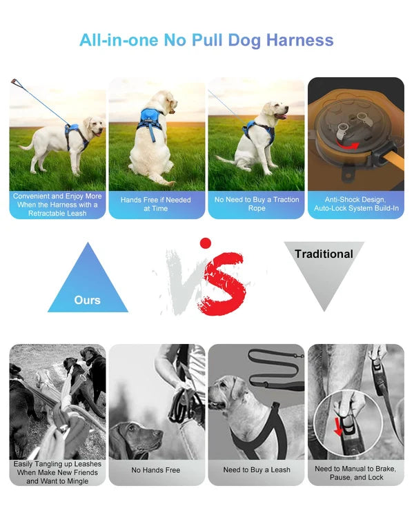 All-in-One Dog Harness