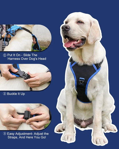All-in-One Dog Harness