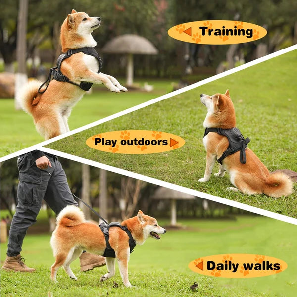 All-in-One Dog Harness