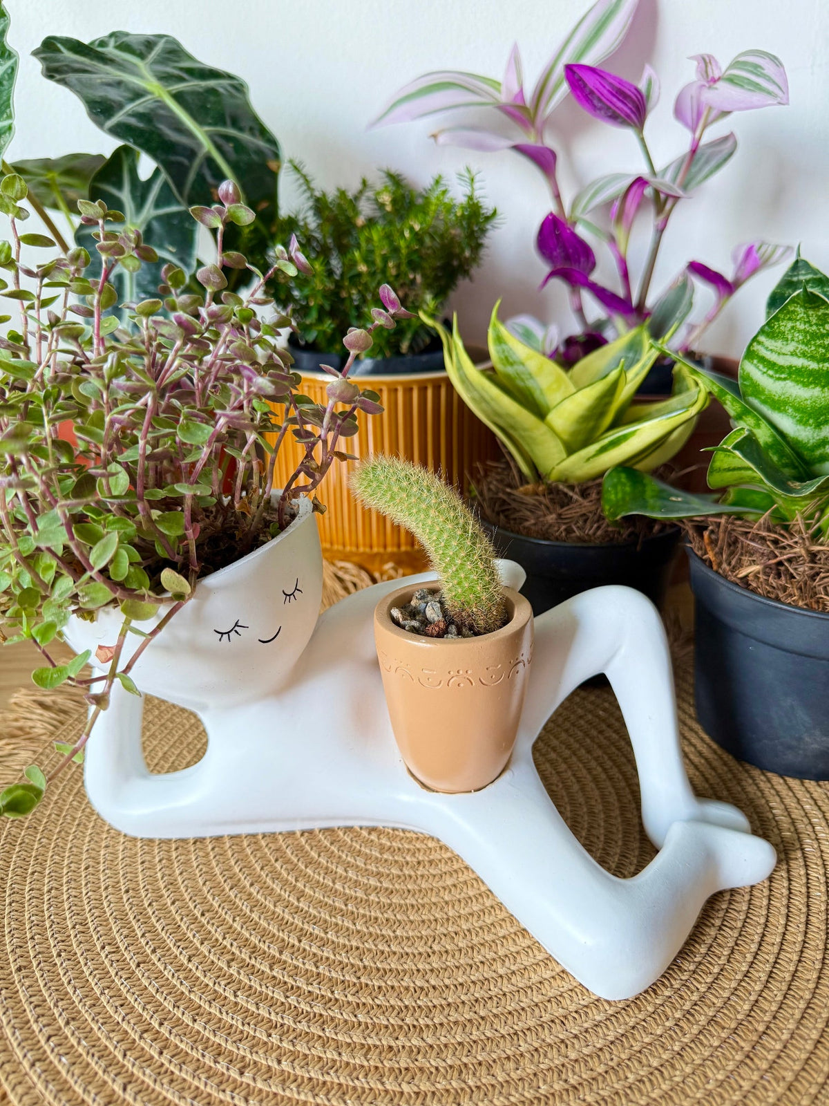 Funny Lazy Boy Planter | Quirky Resin Plant Pot for Home & Desk
