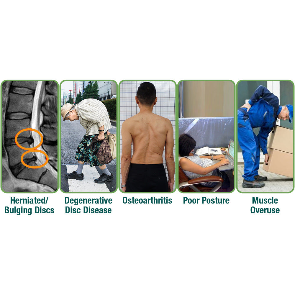 LumbarFlex Herbal Setting Plaster