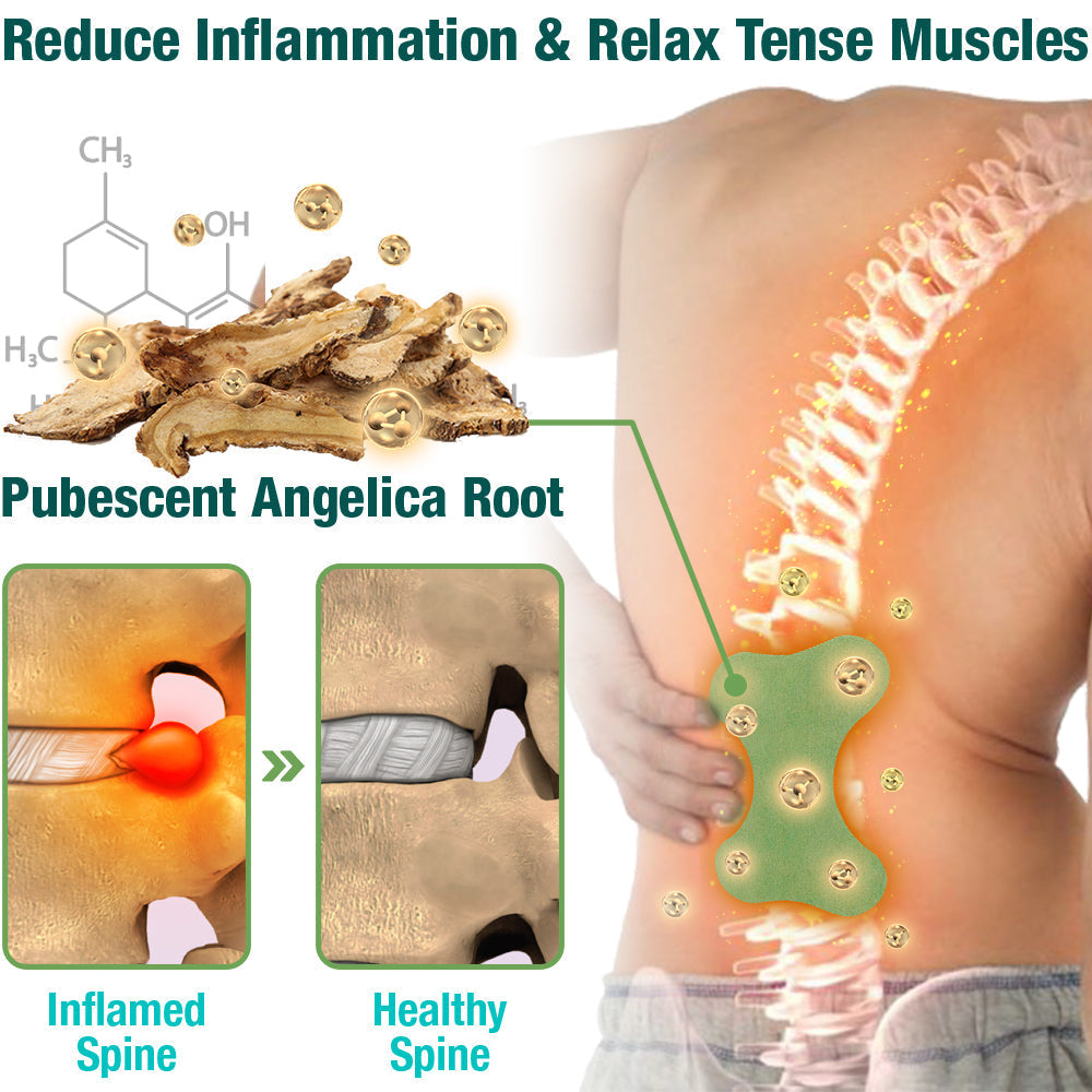 LumbarFlex Herbal Setting Plaster