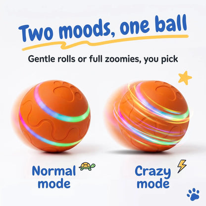 Interactive LED Dog Ball | Self-Rolling & Bouncing Toy for Dogs