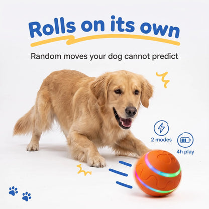 Interactive LED Dog Ball | Self-Rolling & Bouncing Toy for Dogs