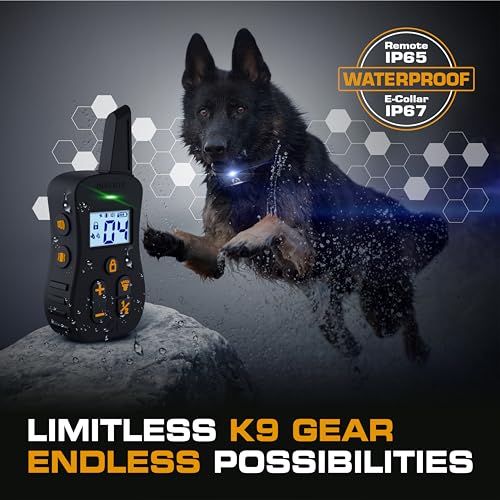 Remote Dog Training Collar | Waterproof Training E-Collar with Night Light