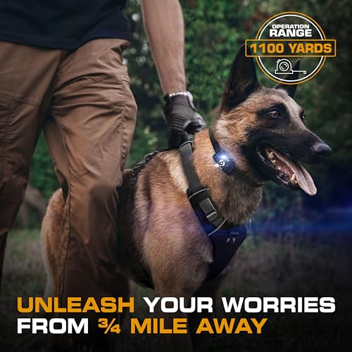 Remote Dog Training Collar | Waterproof Training E-Collar with Night Light