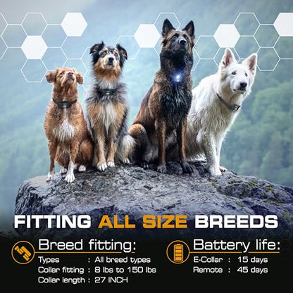 Remote Dog Training Collar | Waterproof Training E-Collar with Night Light